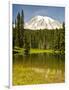 Mount Rainier, Reflection Lakes, Mount Rainier National Park, Washington State, USA-Michel Hersen-Framed Photographic Print