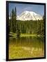 Mount Rainier, Reflection Lakes, Mount Rainier National Park, Washington State, USA-Michel Hersen-Framed Photographic Print