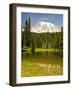 Mount Rainier, Reflection Lakes, Mount Rainier National Park, Washington State, USA-Michel Hersen-Framed Photographic Print