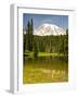 Mount Rainier, Reflection Lakes, Mount Rainier National Park, Washington State, USA-Michel Hersen-Framed Photographic Print