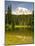 Mount Rainier, Reflection Lakes, Mount Rainier National Park, Washington State, USA-Michel Hersen-Mounted Photographic Print