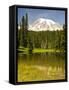 Mount Rainier, Reflection Lakes, Mount Rainier National Park, Washington State, USA-Michel Hersen-Framed Stretched Canvas