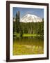 Mount Rainier, Reflection Lakes, Mount Rainier National Park, Washington State, USA-Michel Hersen-Framed Photographic Print