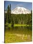 Mount Rainier, Reflection Lakes, Mount Rainier National Park, Washington State, USA-Michel Hersen-Stretched Canvas