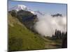 Mount Rainier rises above a fog bank, Tatoosh Wilderness, Washington State, USA-Janis Miglavs-Mounted Photographic Print