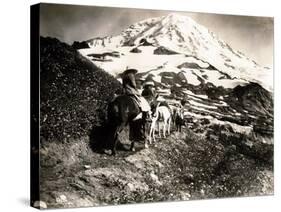 Mount Rainier, Two Women and a Man on Horse Trail, 1914-Asahel Curtis-Stretched Canvas