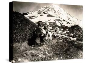 Mount Rainier, Two Women and a Man on Horse Trail, 1914-Asahel Curtis-Stretched Canvas