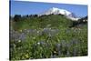 Mount Rainier Viewed from Paradise, Mount Rainier NP, Washington, Usa-Michel Hersen-Stretched Canvas