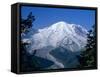 Mount Rainier, Volcanic Peak, and Emmons Glacier from Summit Icefield, Washington State, USA-Anthony Waltham-Framed Stretched Canvas