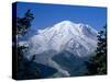 Mount Rainier, Volcanic Peak, and Emmons Glacier from Summit Icefield, Washington State, USA-Anthony Waltham-Stretched Canvas