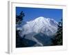 Mount Rainier, Volcanic Peak, and Emmons Glacier from Summit Icefield, Washington State, USA-Anthony Waltham-Framed Photographic Print