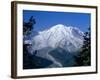 Mount Rainier, Volcanic Peak, and Emmons Glacier from Summit Icefield, Washington State, USA-Anthony Waltham-Framed Photographic Print