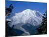 Mount Rainier, Volcanic Peak, and Emmons Glacier from Summit Icefield, Washington State, USA-Anthony Waltham-Mounted Photographic Print