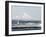 Mount Rainier-Ted S. Warren-Framed Premium Photographic Print