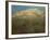 Mount Resegone, 1897-Gaetano Previati-Framed Giclee Print