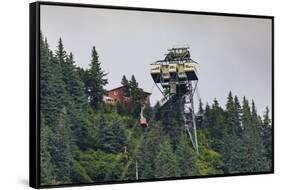 Mount Roberts Tramway cable car approaches top station, surrounded by forest, Juneau, Alaska, Unite-Eleanor Scriven-Framed Stretched Canvas