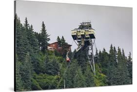 Mount Roberts Tramway cable car approaches top station, surrounded by forest, Juneau, Alaska, Unite-Eleanor Scriven-Stretched Canvas