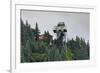 Mount Roberts Tramway cable car approaches top station, surrounded by forest, Juneau, Alaska, Unite-Eleanor Scriven-Framed Photographic Print