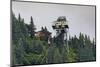 Mount Roberts Tramway cable car approaches top station, surrounded by forest, Juneau, Alaska, Unite-Eleanor Scriven-Mounted Photographic Print