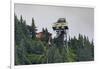 Mount Roberts Tramway cable car approaches top station, surrounded by forest, Juneau, Alaska, Unite-Eleanor Scriven-Framed Photographic Print