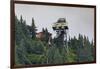 Mount Roberts Tramway cable car approaches top station, surrounded by forest, Juneau, Alaska, Unite-Eleanor Scriven-Framed Photographic Print