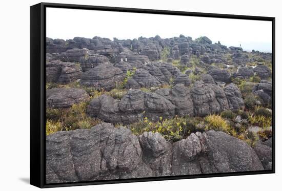 Mount Roraima Landscape (Intersection of Borders: Venezuela, Guyana, Brazil)-zanskar-Framed Stretched Canvas