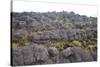 Mount Roraima Landscape (Intersection of Borders: Venezuela, Guyana, Brazil)-zanskar-Stretched Canvas