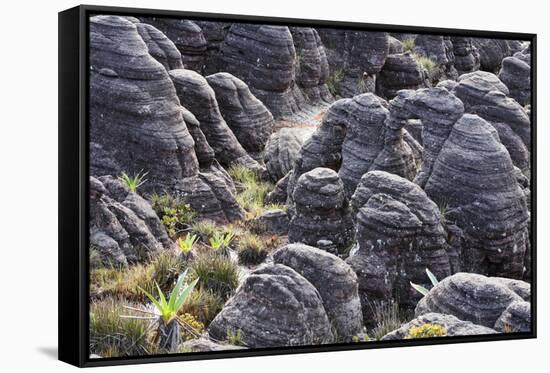 Mount Roraima Landscape (Intersection of Borders: Venezuela, Guyana, Brazil)-zanskar-Framed Stretched Canvas