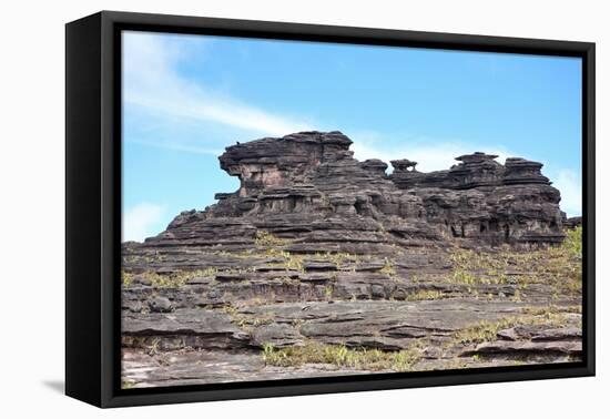 Mount Roraima Landscape (Intersection of Borders: Venezuela, Guyana, Brazil)-zanskar-Framed Stretched Canvas