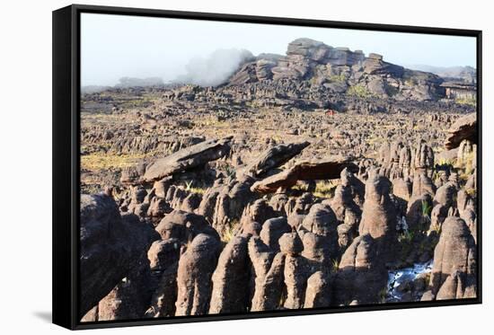 Mount Roraima Landscape (Intersection of Borders: Venezuela, Guyana, Brazil)-zanskar-Framed Stretched Canvas