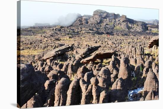 Mount Roraima Landscape (Intersection of Borders: Venezuela, Guyana, Brazil)-zanskar-Stretched Canvas