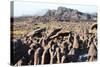 Mount Roraima Landscape (Intersection of Borders: Venezuela, Guyana, Brazil)-zanskar-Stretched Canvas