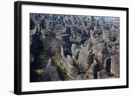 Mount Roraima Landscape (Intersection of Borders: Venezuela, Guyana, Brazil)-zanskar-Framed Photographic Print