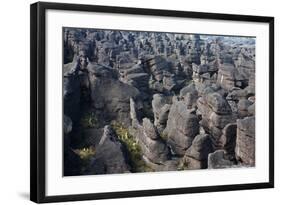 Mount Roraima Landscape (Intersection of Borders: Venezuela, Guyana, Brazil)-zanskar-Framed Photographic Print