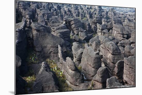 Mount Roraima Landscape (Intersection of Borders: Venezuela, Guyana, Brazil)-zanskar-Mounted Photographic Print