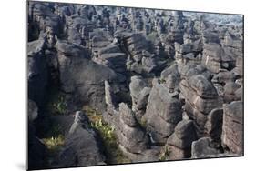 Mount Roraima Landscape (Intersection of Borders: Venezuela, Guyana, Brazil)-zanskar-Mounted Photographic Print