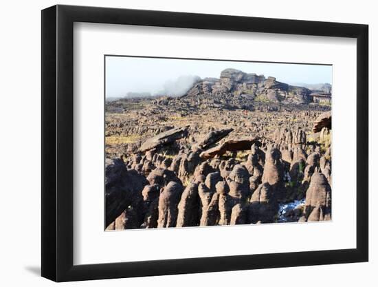 Mount Roraima Landscape (Intersection of Borders: Venezuela, Guyana, Brazil)-zanskar-Framed Photographic Print