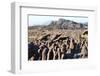 Mount Roraima Landscape (Intersection of Borders: Venezuela, Guyana, Brazil)-zanskar-Framed Photographic Print