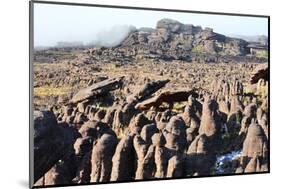 Mount Roraima Landscape (Intersection of Borders: Venezuela, Guyana, Brazil)-zanskar-Mounted Photographic Print