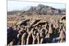 Mount Roraima Landscape (Intersection of Borders: Venezuela, Guyana, Brazil)-zanskar-Mounted Photographic Print