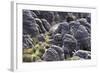 Mount Roraima Landscape (Intersection of Borders: Venezuela, Guyana, Brazil)-zanskar-Framed Photographic Print