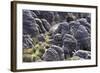 Mount Roraima Landscape (Intersection of Borders: Venezuela, Guyana, Brazil)-zanskar-Framed Photographic Print