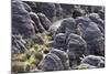 Mount Roraima Landscape (Intersection of Borders: Venezuela, Guyana, Brazil)-zanskar-Mounted Photographic Print