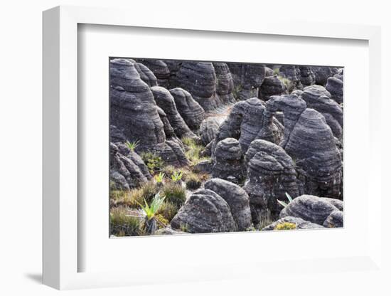 Mount Roraima Landscape (Intersection of Borders: Venezuela, Guyana, Brazil)-zanskar-Framed Photographic Print