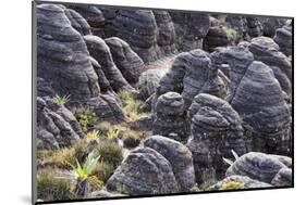 Mount Roraima Landscape (Intersection of Borders: Venezuela, Guyana, Brazil)-zanskar-Mounted Photographic Print