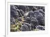 Mount Roraima Landscape (Intersection of Borders: Venezuela, Guyana, Brazil)-zanskar-Framed Photographic Print