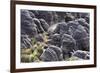 Mount Roraima Landscape (Intersection of Borders: Venezuela, Guyana, Brazil)-zanskar-Framed Photographic Print