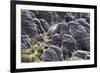 Mount Roraima Landscape (Intersection of Borders: Venezuela, Guyana, Brazil)-zanskar-Framed Photographic Print