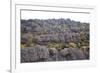 Mount Roraima Landscape (Intersection of Borders: Venezuela, Guyana, Brazil)-zanskar-Framed Photographic Print