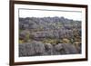 Mount Roraima Landscape (Intersection of Borders: Venezuela, Guyana, Brazil)-zanskar-Framed Photographic Print